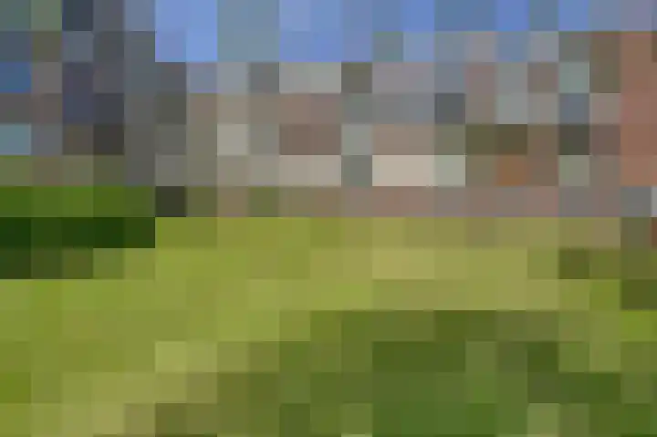 van der Duyn van Maasdamlaan 102 B Vlaardingen thumbnail 9