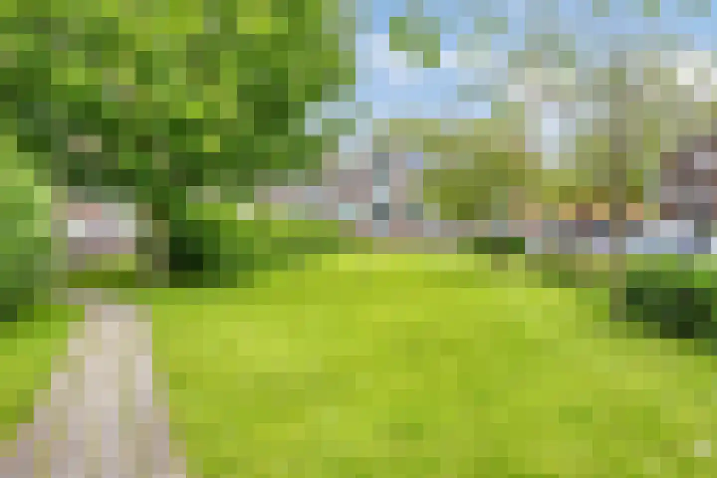 van der Duyn van Maasdamlaan 104 B Vlaardingen thumbnail 18