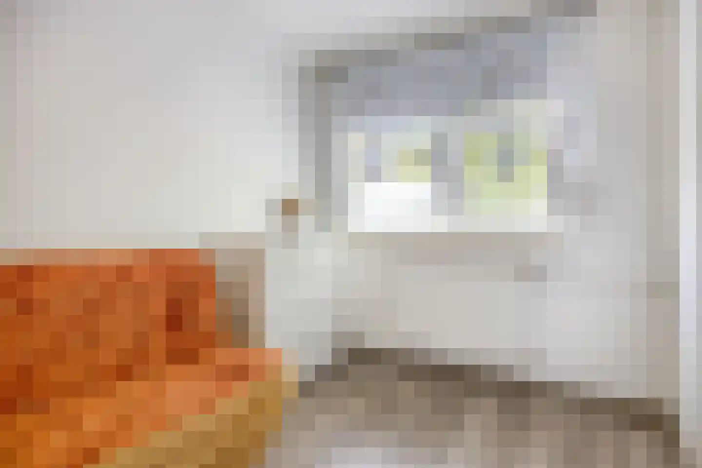 van der Duyn van Maasdamlaan 104 B Vlaardingen thumbnail 9