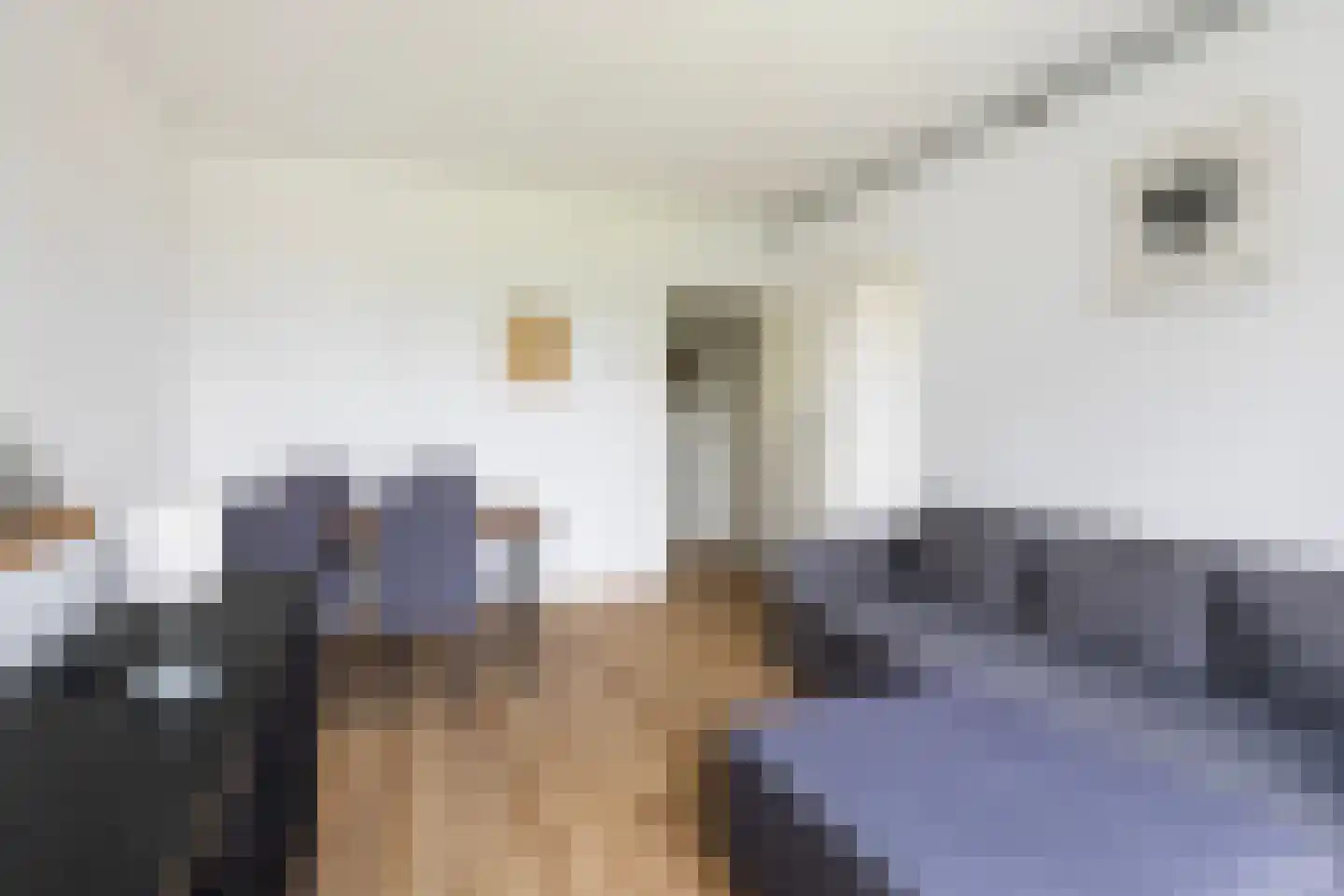 van der Duyn van Maasdamlaan 112 C Vlaardingen thumbnail 8