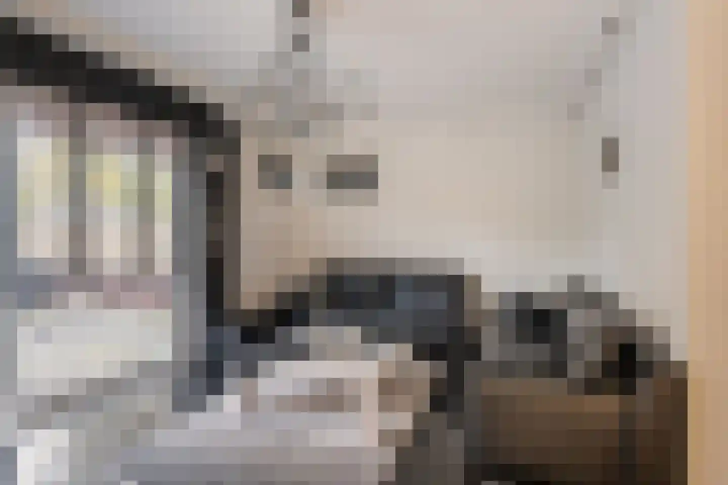 van der Duyn van Maasdamlaan 113 Vlaardingen thumbnail 13