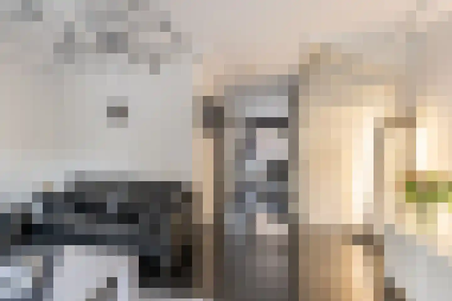 van der Duyn van Maasdamlaan 113 Vlaardingen thumbnail 14