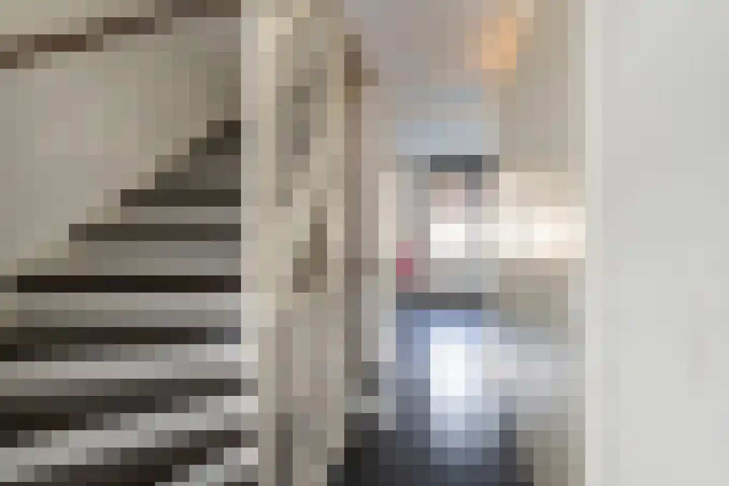 van der Duyn van Maasdamlaan 113 Vlaardingen thumbnail 18