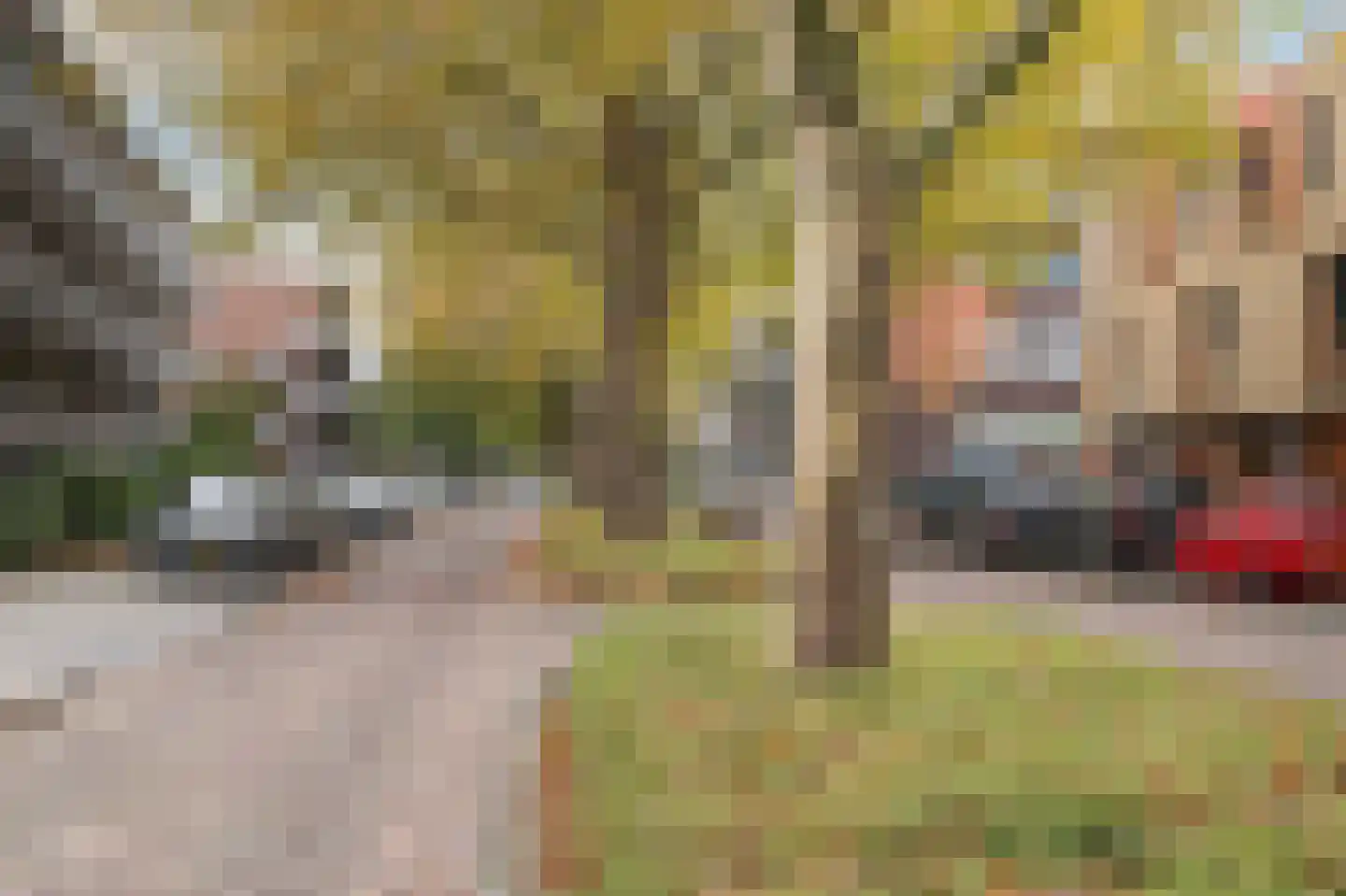 van der Duyn van Maasdamlaan 113 Vlaardingen thumbnail 40