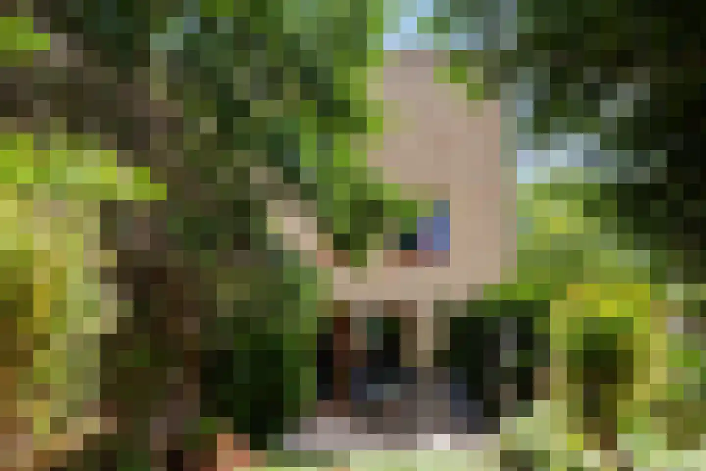 van der Duyn van Maasdamlaan 115 Vlaardingen thumbnail 21