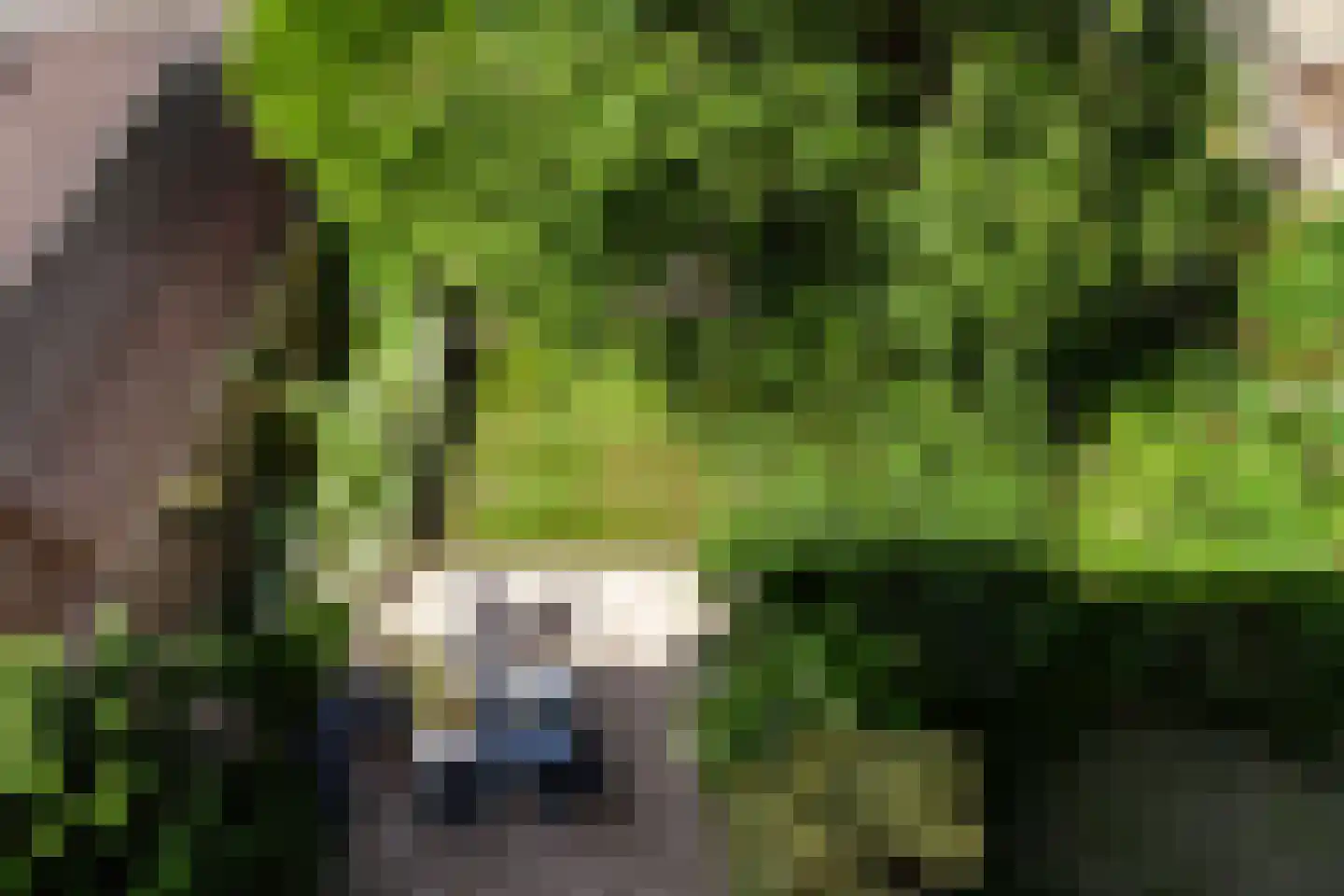 van der Duyn van Maasdamlaan 115 Vlaardingen thumbnail 25