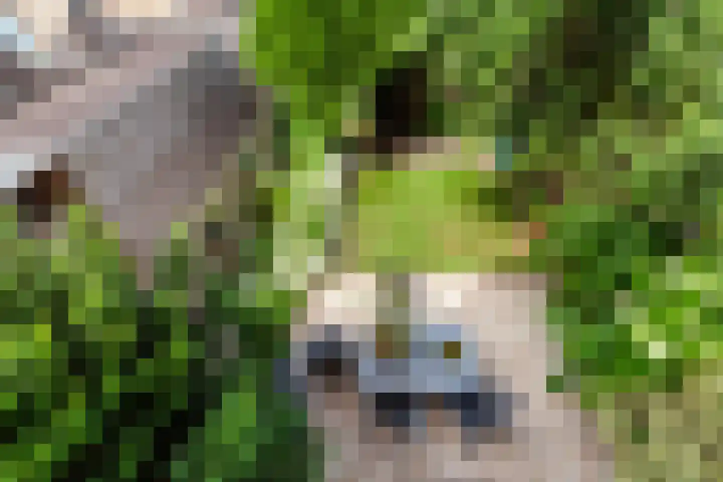van der Duyn van Maasdamlaan 115 Vlaardingen thumbnail 26