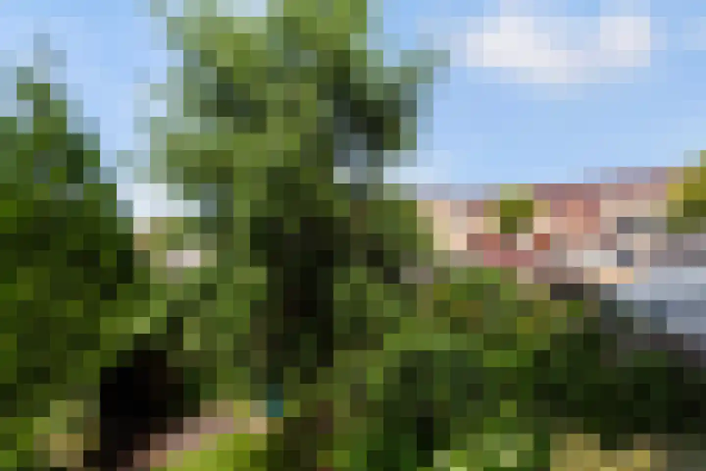 van der Duyn van Maasdamlaan 115 Vlaardingen thumbnail 27