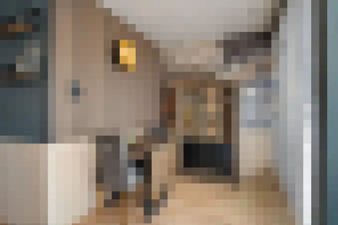 van der Duyn van Maasdamlaan 116 A Vlaardingen thumbnail 15