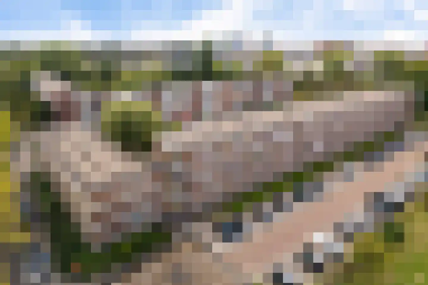van der Duyn van Maasdamlaan 116 A Vlaardingen foto 2