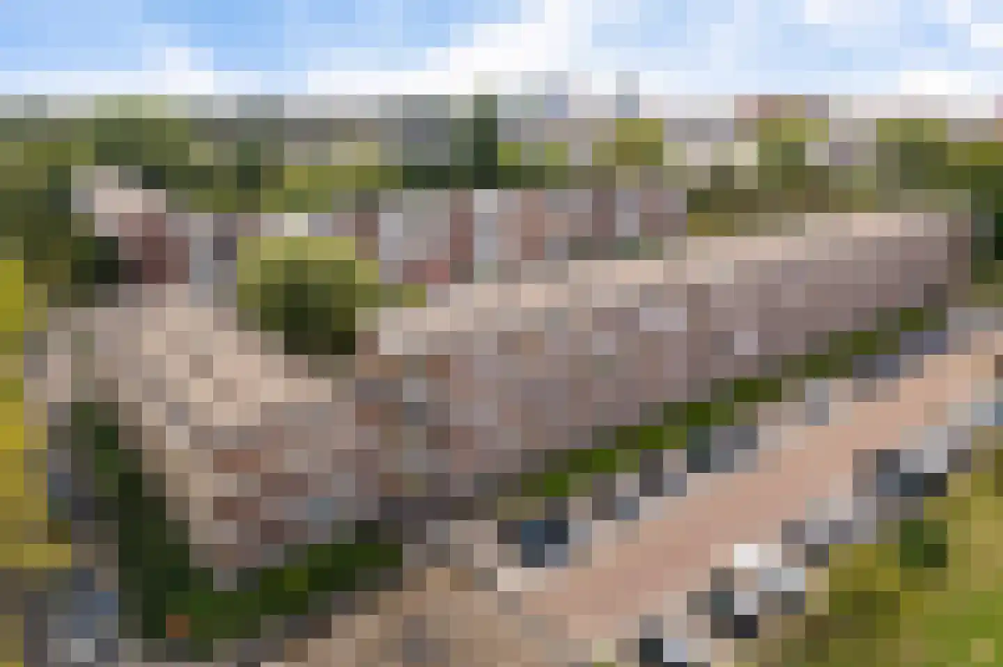 van der Duyn van Maasdamlaan 116 A Vlaardingen thumbnail 34