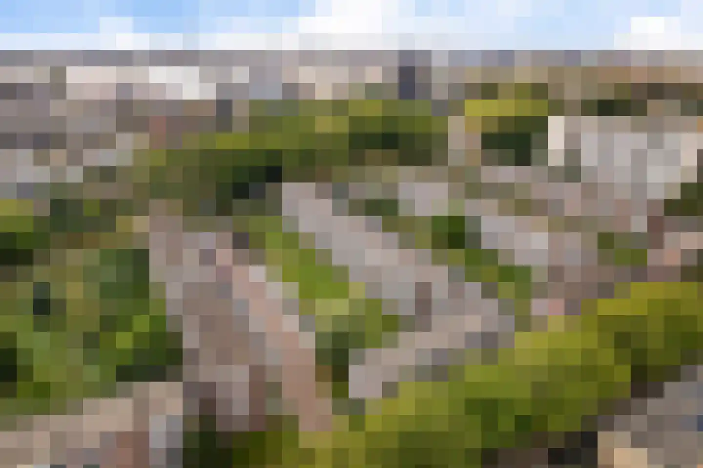 van der Duyn van Maasdamlaan 116 A Vlaardingen thumbnail 35