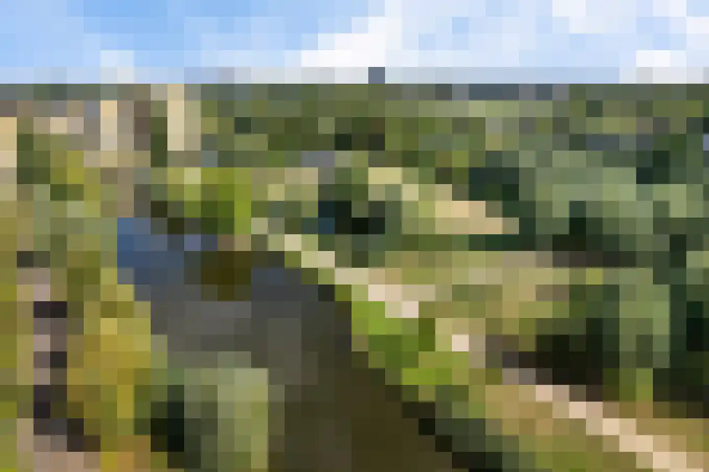 van der Duyn van Maasdamlaan 116 A Vlaardingen thumbnail 36