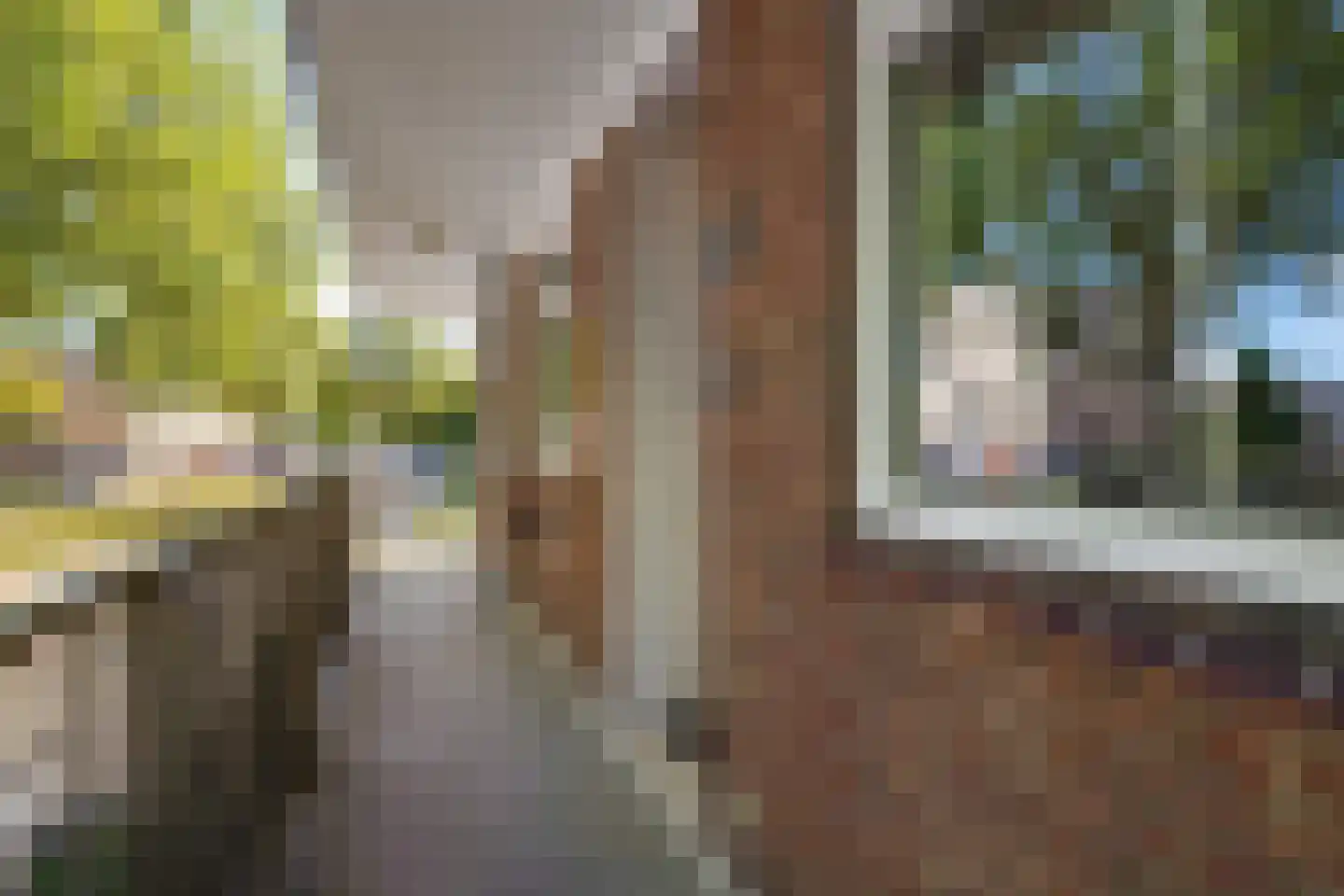 van der Duyn van Maasdamlaan 116 A Vlaardingen thumbnail 7