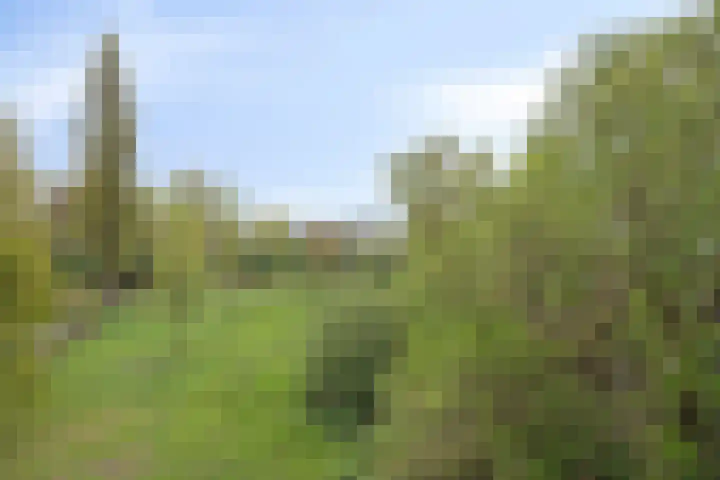 van der Duyn van Maasdamlaan 120 C Vlaardingen thumbnail 25