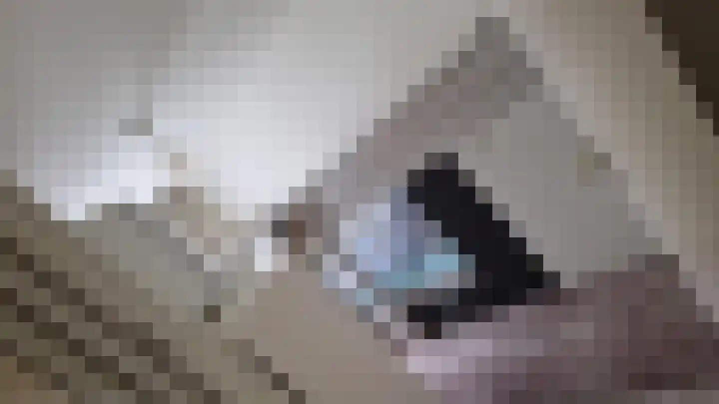 van der Duyn van Maasdamlaan 120 D Vlaardingen thumbnail 23