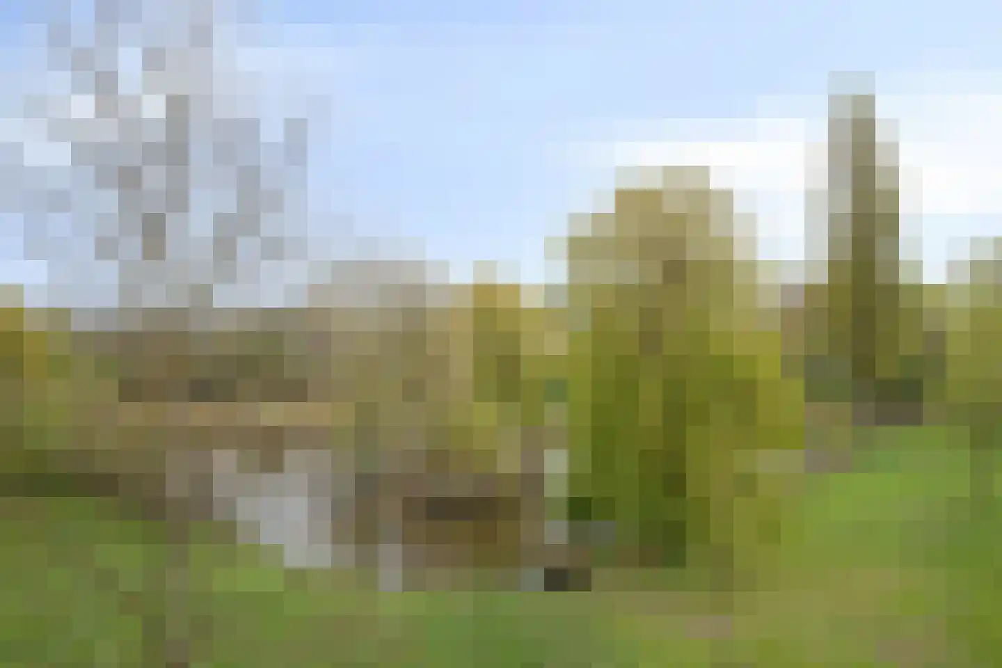 van der Duyn van Maasdamlaan 120 D Vlaardingen thumbnail 24