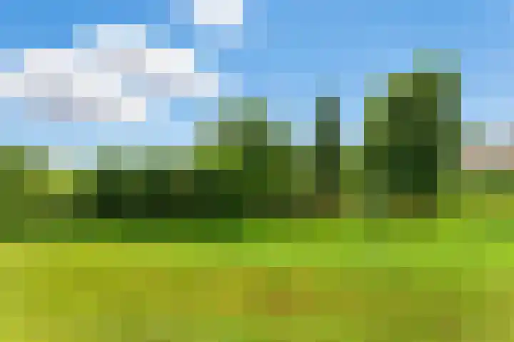 van der Duyn van Maasdamlaan 128 D Vlaardingen thumbnail 10
