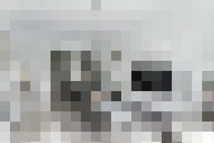 van der Duyn van Maasdamlaan 128 D Vlaardingen thumbnail 11