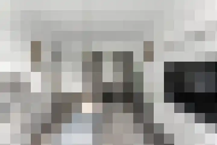 van der Duyn van Maasdamlaan 128 D Vlaardingen thumbnail 13
