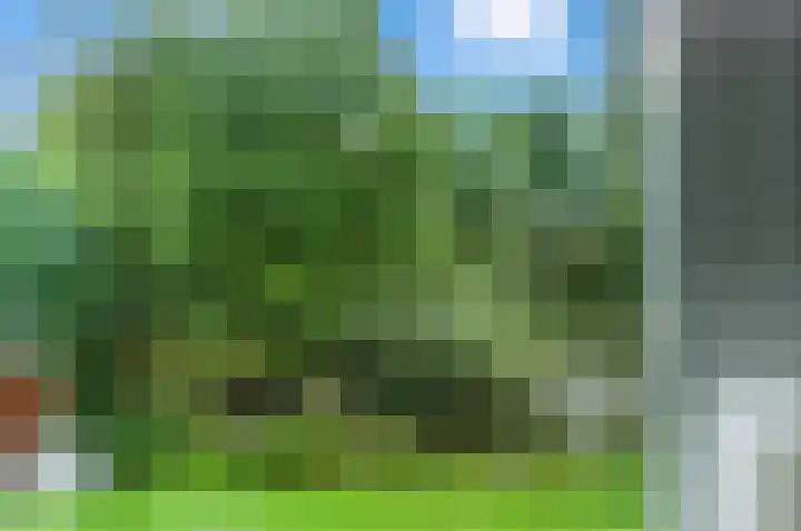van der Duyn van Maasdamlaan 128 D Vlaardingen thumbnail 16