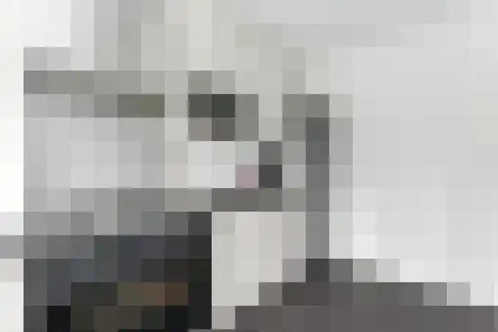 van der Duyn van Maasdamlaan 128 D Vlaardingen thumbnail 18