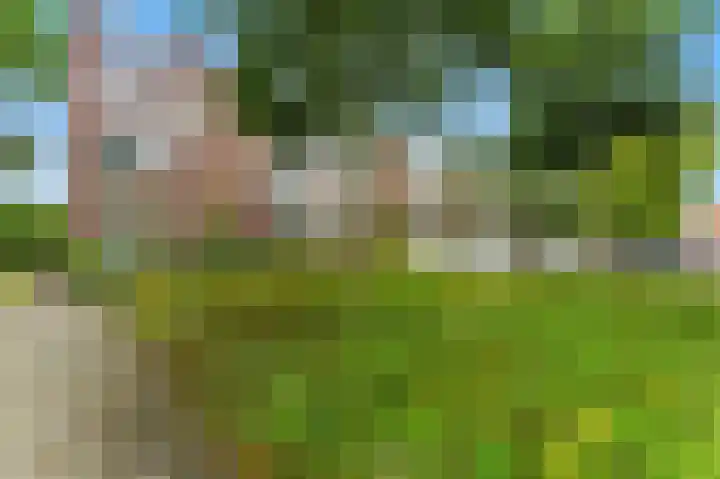 van der Duyn van Maasdamlaan 128 D Vlaardingen thumbnail 30