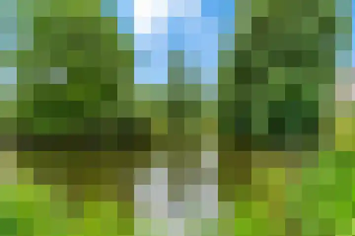 van der Duyn van Maasdamlaan 128 D Vlaardingen thumbnail 32