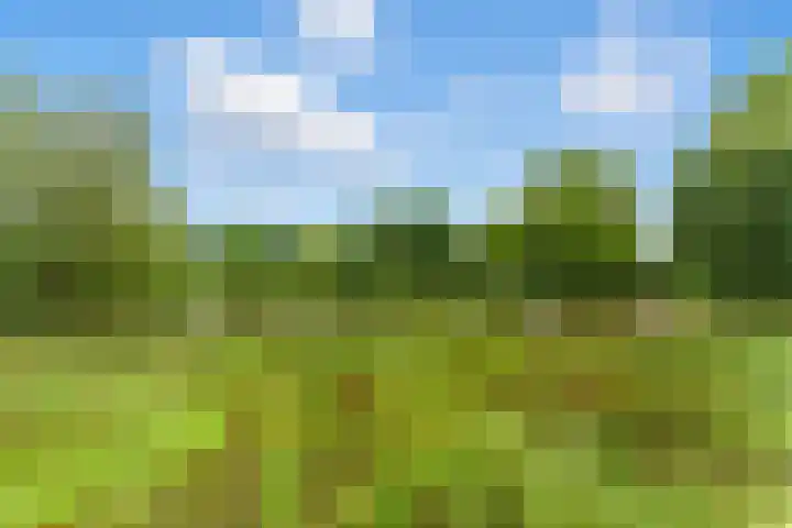 van der Duyn van Maasdamlaan 128 D Vlaardingen thumbnail 33