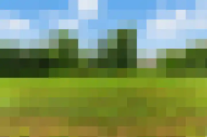 van der Duyn van Maasdamlaan 128 D Vlaardingen thumbnail 34