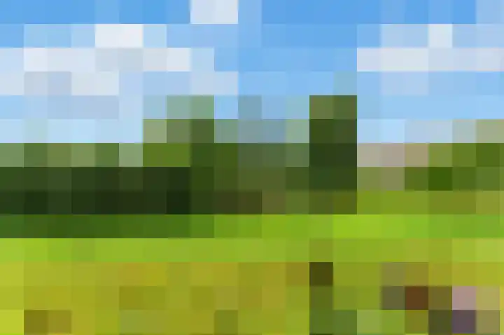van der Duyn van Maasdamlaan 128 D Vlaardingen thumbnail 6
