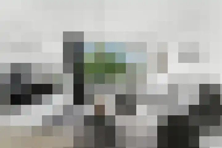 van der Duyn van Maasdamlaan 128 D Vlaardingen thumbnail 9