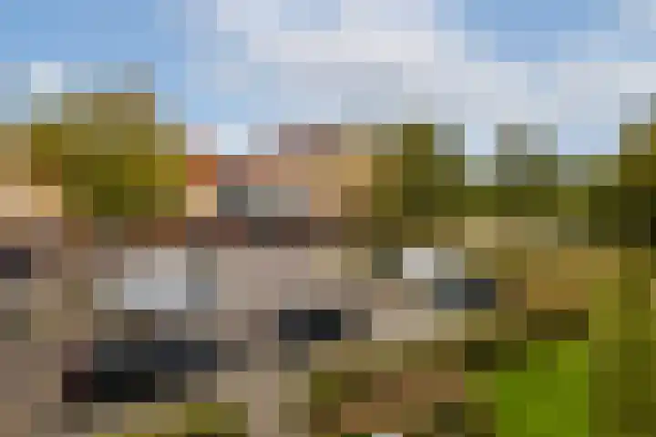 van der Duyn van Maasdamlaan 130 C Vlaardingen thumbnail 10