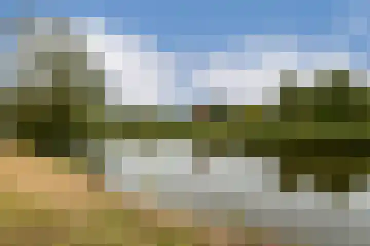 van der Duyn van Maasdamlaan 130 C Vlaardingen thumbnail 16