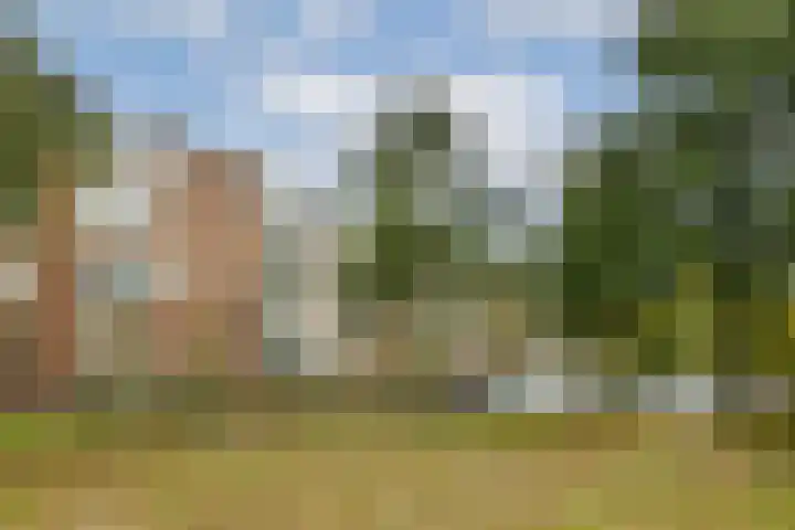 van der Duyn van Maasdamlaan 130 C Vlaardingen thumbnail 17