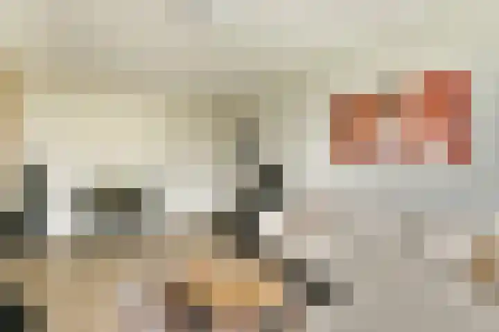 van der Duyn van Maasdamlaan 130 C Vlaardingen thumbnail 7