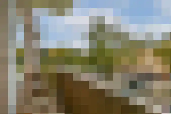 van der Duyn van Maasdamlaan 130 C Vlaardingen thumbnail 9