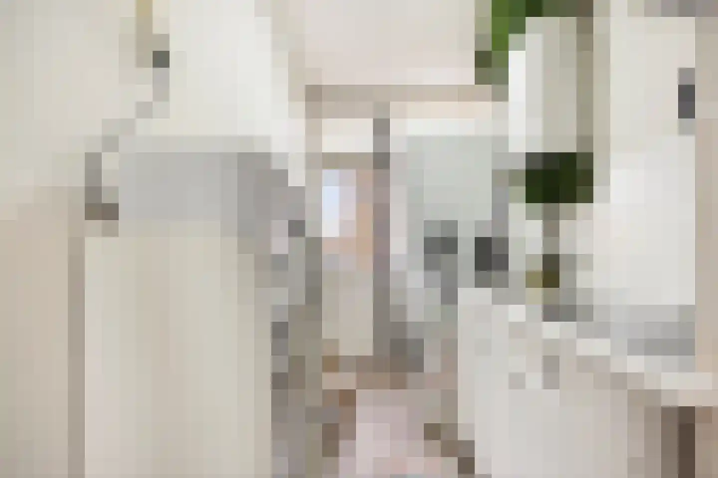 van der Duyn van Maasdamlaan 134 B Vlaardingen thumbnail 13