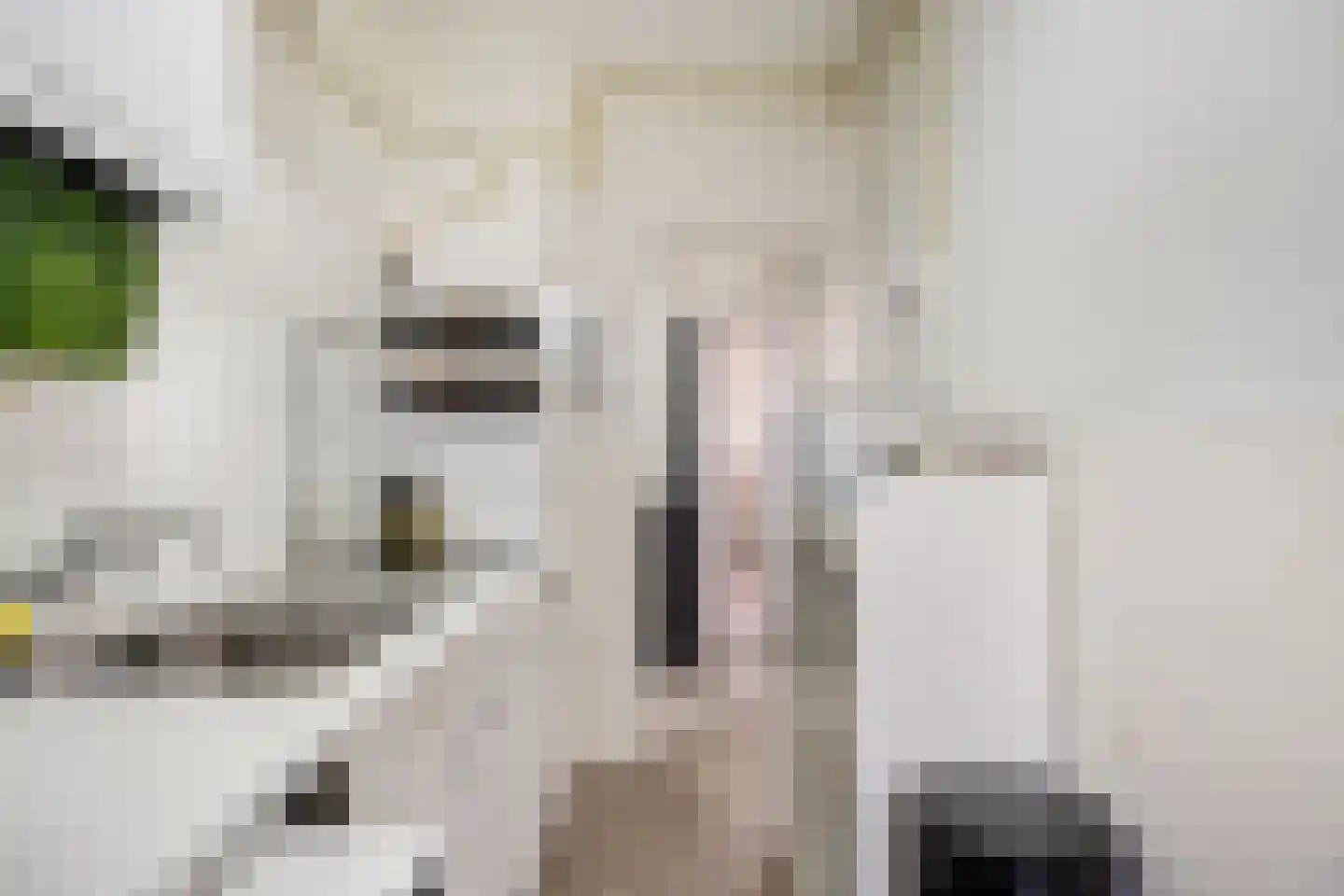 van der Duyn van Maasdamlaan 134 B Vlaardingen thumbnail 14