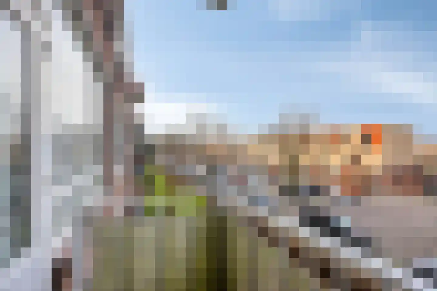 van der Duyn van Maasdamlaan 134 D Vlaardingen thumbnail 15