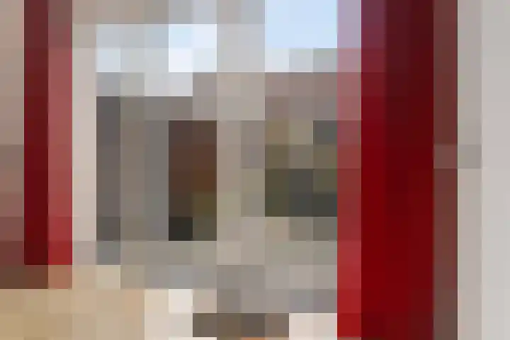 Van der Duyn van Maasdamlaan 18 Hillegom thumbnail 11