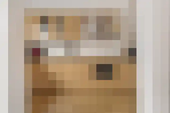 Van der Duyn van Maasdamlaan 18 Hillegom thumbnail 14