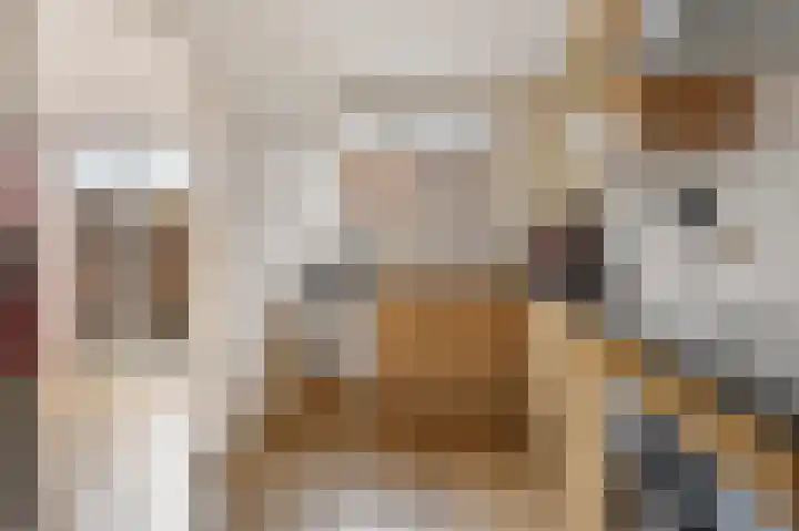 Van der Duyn van Maasdamlaan 18 Hillegom thumbnail 15