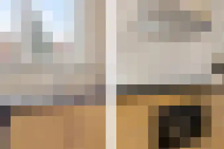 Van der Duyn van Maasdamlaan 18 Hillegom thumbnail 16