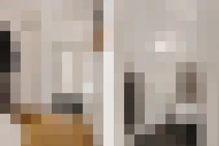 Van der Duyn van Maasdamlaan 18 Hillegom thumbnail 18