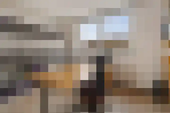 Van der Duyn van Maasdamlaan 18 Hillegom thumbnail 24