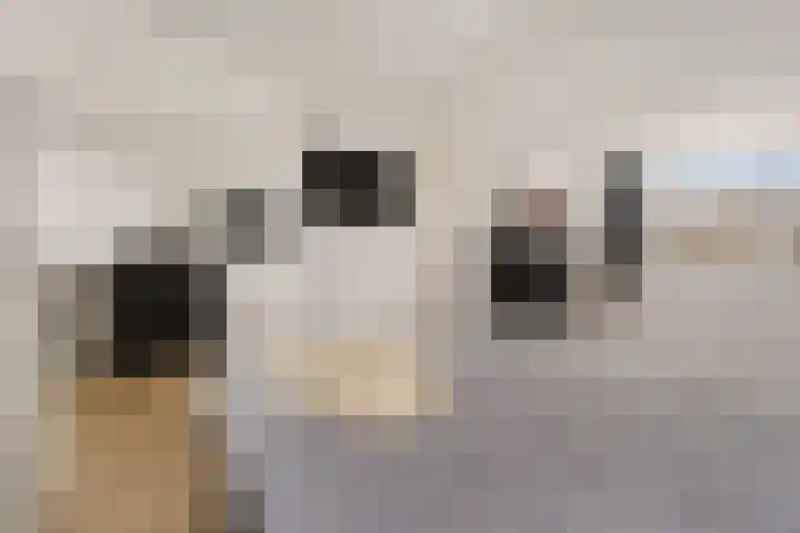 Van der Duyn van Maasdamlaan 18 Hillegom thumbnail 29
