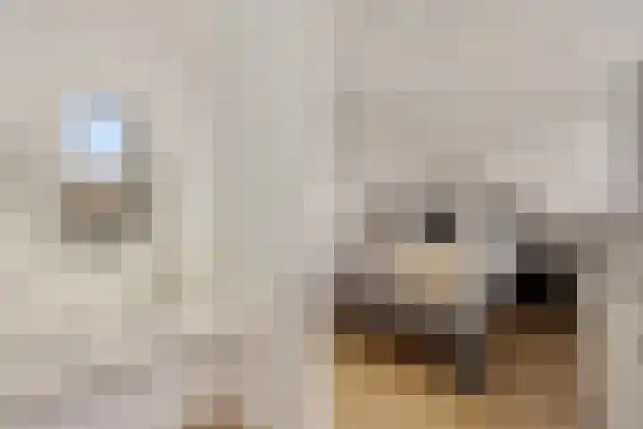 Van der Duyn van Maasdamlaan 18 Hillegom thumbnail 30