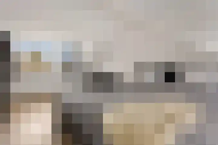 Van der Duyn van Maasdamlaan 18 Hillegom thumbnail 4