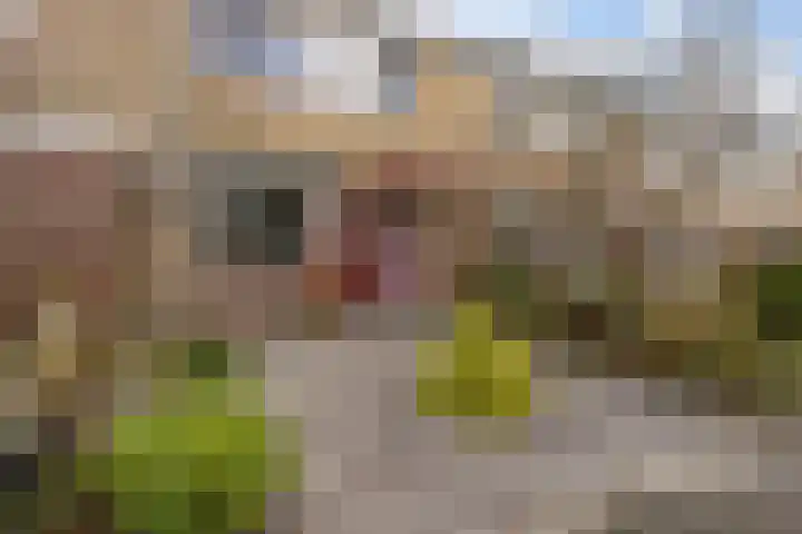 Van der Duyn van Maasdamlaan 18 Hillegom thumbnail 5